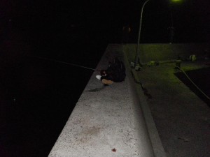 寒くても、じっとウキを見つめるＵ野くん