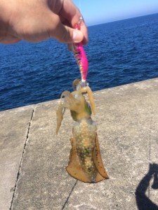 s-浜田・西沖波止12