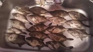 s-山陰　伍八⑱