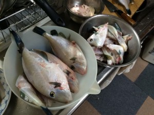 s-山陰　伍八⑳