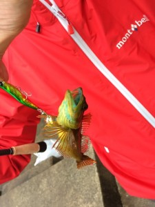 s-山陰　伍八⑧