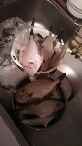 s-山陰　伍八⑲