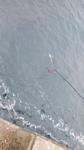 s-山陰　伍八⑪